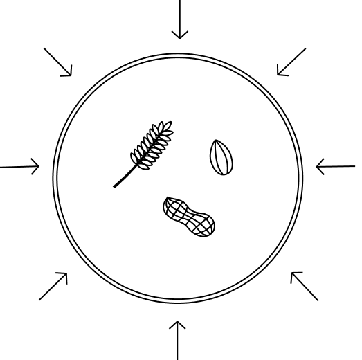 Diagram of phytate rich food not being absorbed