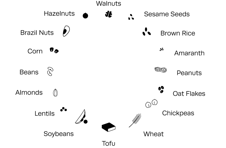 Diagram of phytate rich foods