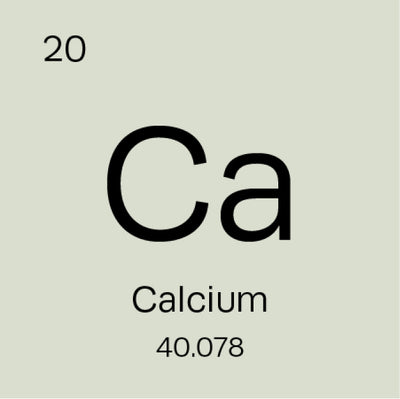 Why Is Calcium So Important in Your Body?